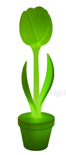 Myyour Indoor Tulip vert clair TULIP-XL-GREEN